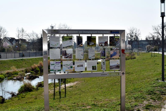 Stadtrundgang Station 12: Hochwasserschutz- und Ökologieprojekt | © Stadtverwaltung Hockenheim