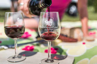 WeinLand | HeilbronnerLand | © Touristikgemeinschaft HeilbronnerLand