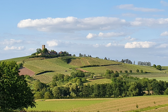 Station Weitsicht im Streuobsterlebnispfad | © Naturpark Stromberg-Heuchelberg