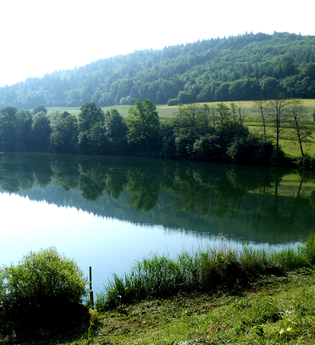 Stausee mit grünen Wiesen | © Touristikgemeinschaft Hohenlohe e. V. | Gemeinde Mulfingen