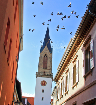 Stiftskirche - Sehenswürdigkeit in Bretten | © Stadt Bretten
