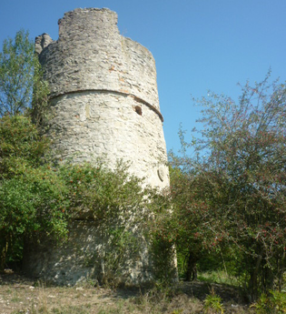 Storchenturm bei Kloster Schöntal (Ruine) | © Touristikgemeinschaft Hohenlohe e. V.
