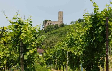 Strahlenburg Schriesheim
