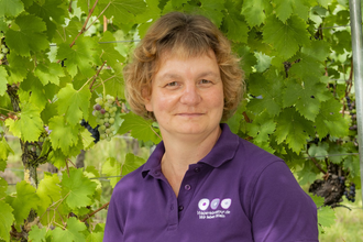 Susanne Hoffmann | Weinerlebnisführerin