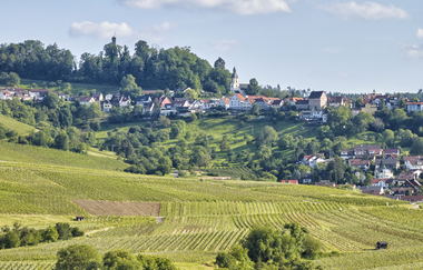 Bergstädtchen Löwenstein | Naturpark Schwäbisch-Fränkischer Wald | HeilbronnerLand | © Touristikgemeinschaft HeilbronnerLand