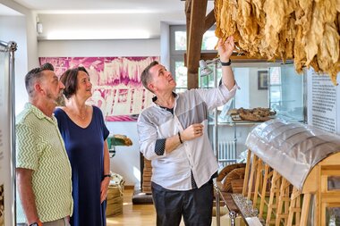 Zwei Museumsggäste erfahren interessantes über die Tabakverarbeitung. Anschaulich eröffnet sich ein Blick in eine Tabakscheune, um den Trocknungsprozess besser verstehen zu können. | © Tourimia Tourismus GmbH