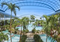Palmenparadies | Thermen & Badewelt Sinsheim | © Thermen & Badewelt Sinsheim