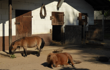 Tier- und Vogelpark Reilingen | © Landratsamt Rhein-Neckar-Kreis