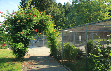 Tierpark Balzfeld Dielheim | © Landratsamt Rhein-Neckar-Kreis