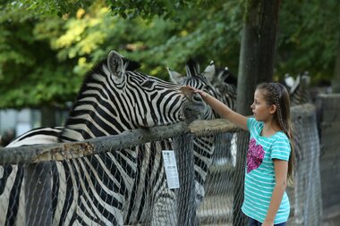 © Tierpark Bretten