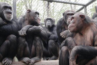 Tierpark Leintalzoo | Schwaigern | HeilbronnerLand | © Leintalzoo