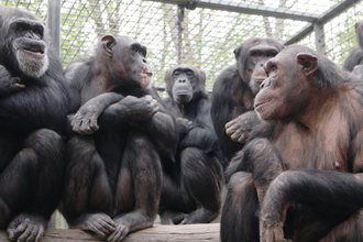 Tierpark Leintalzoo | Schwaigern | HeilbronnerLand | © Leintalzoo