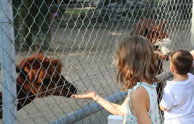 Tierpark Walldorf | © Landratsamt Rhein-Neckar-Kreis