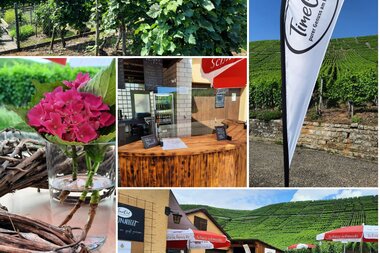 TimeOut - purer Genuss am Käsberg in Mundelsheim