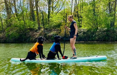 TomDog | SUP Kurse