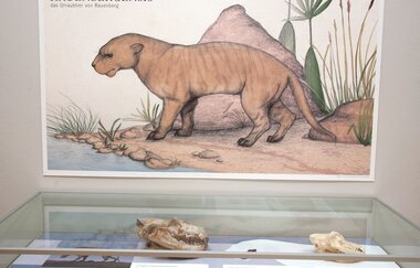 Tongrube Unterfeld südlich von Rauenberg | © Dorothea Burkhardt