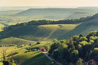 Aussicht von der Burgruine Löwenstein | Blick über den Naturpark Schwäbisch-Fränkischer Wald | HeilbronnerLand | © Touristikgemeinschaft HeilbronnerLand