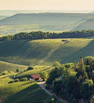 Aussicht von der Burgruine Löwenstein | Blick über den Naturpark Schwäbisch-Fränkischer Wald | HeilbronnerLand | © Touristikgemeinschaft HeilbronnerLand