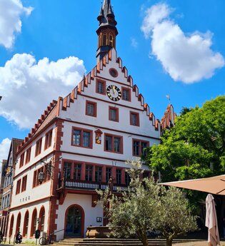 Altes Rathaus am Marktplatz mit Glockenturm und Bäumen | © Cornelia Eicher