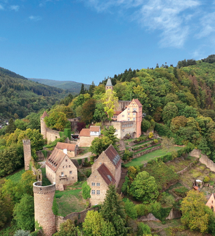 Blick auf Burg Hirschhorn | © Stadt Hirschhorn