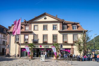 Außenansicht der Tourist Information am Neckarmünzplatz. | © Heidelberg Marketing / Tobias Schwerdt
