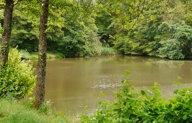 Trinkwaldsee | © Land der 1000 Hügel - Kraichgau-Stromberg