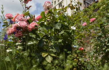 Trockenmauern Kraichtal-Gochsheim | © Foto von Marcel Hasübert