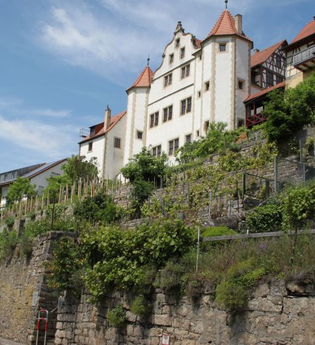 Trockenmauern Kraichtal-Gochsheim