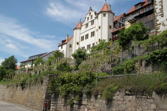 Trockenmauern Kraichtal-Gochsheim