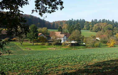 Forsthaus hinter grünen Feldern