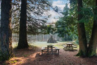 Unter Mammutbäumen im Streitwald: Picknickplatz | © Hohenlohe Schwäbisch Hall