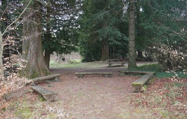 Unter Mammutbäumen im Streitwald: Picknickplatz | © Hohenlohe Schwäbisch Hall