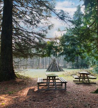 Unter Mammutbäumen im Streitwald: Picknickplatz | © Hohenlohe Schwäbisch Hall