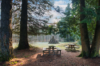 Unter Mammutbäumen im Streitwald: Picknickplatz | © Hohenlohe Schwäbisch Hall