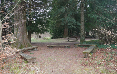 Unter Mammutbäumen im Streitwald: Picknickplatz | © Hohenlohe Schwäbisch Hall