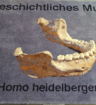 Urgeschichtliches Museum in Mauer | © Beate Otto