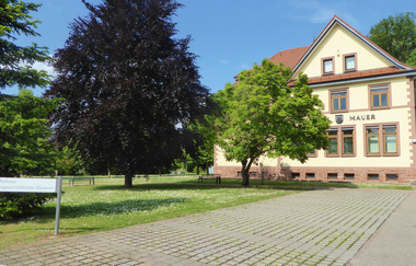 Urgeschichtliches Museum in Mauer | © Beate Otto