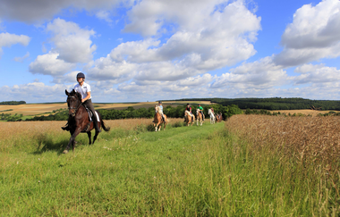 Urlaubsreiterhof Trunk | © Unbekannt