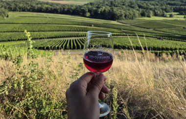 im Vordergrund ein Weinglas mit roter Flüssigkeit und im Hintergrund Landschaft mit Reeben und blauem Himmel | © Ute Schmidt