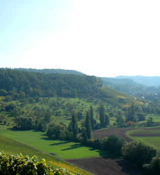 Eschenauer Paradies | Obersulm | Weinsberger Tal | HeilbronnerLand | © Touristikgemeinschaft HeilbronnerLand e.V.