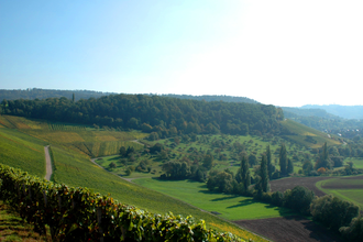Eschenauer Paradies | Obersulm | Weinsberger Tal | HeilbronnerLand | © Touristikgemeinschaft HeilbronnerLand e.V.