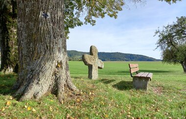 Vier Linden