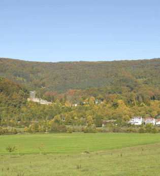 Vierburgenstadt Neckarsteinach | © Touristikgemeinschaft Odenwald e.V.