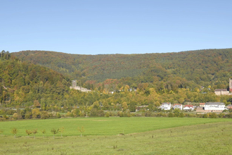 Vierburgenstadt Neckarsteinach | © Touristikgemeinschaft Odenwald e.V.