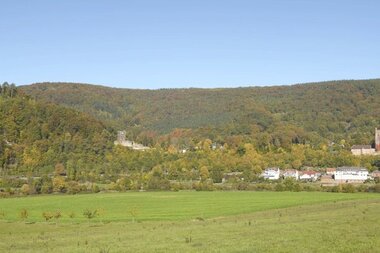Vierburgenstadt Neckarsteinach | © Touristikgemeinschaft Odenwald e.V.