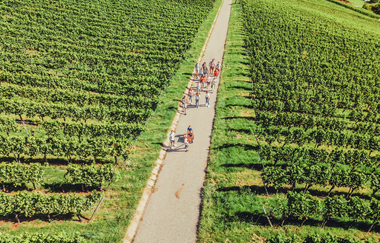 Weingut Koppenhöfer | Löwenstein-Rittelhof | Weinerlebnisführung | Weinsberger Tal | © Tourismus im Weinsberger Tal e.V.