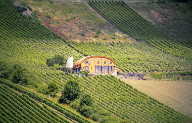 Das Ingelfinger Fass liegt malerisch in den Weinbergen im Kochertal. | © Touristikgemeinschaft Hohenlohe e. V. |  Andi Schmid