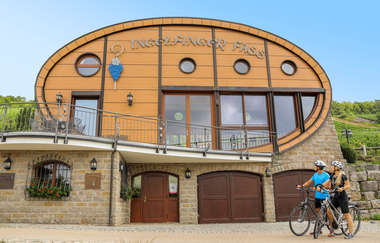 Das Ingelfinger Fass liegt in den Weinbergen im Kochertal | © Hohenlohe Künzelsau