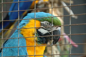 Vogelpark Altlußheim | © Landratsamt Rhein-Neckar-Kreis