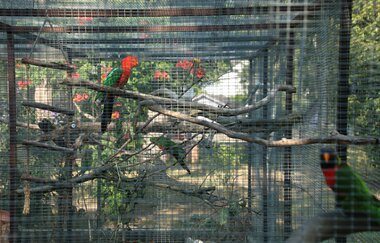 Vogelpark Altlußheim | © Landratsamt Rhein-Neckar-Kreis
